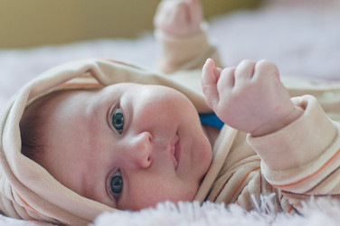 Similar image 1485175