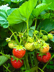 Similar image 1485241