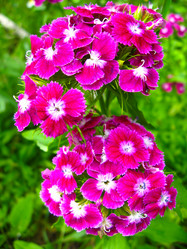 Similar image 1485264