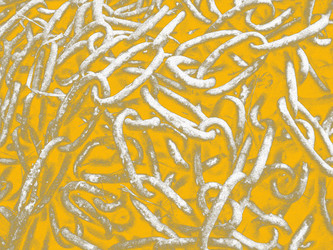 Similar image 1485275