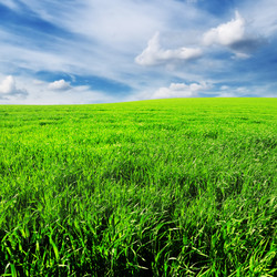 Similar image 1485288