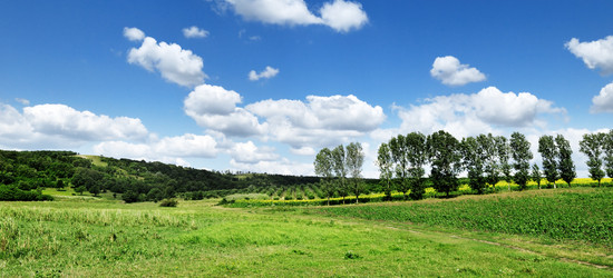 Similar image 1485299