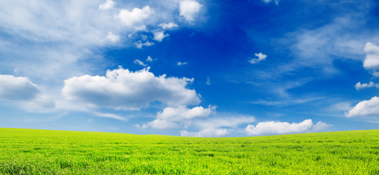 Similar image 1485301