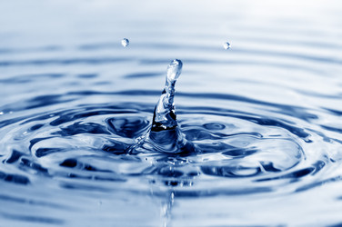 Similar image 1485307