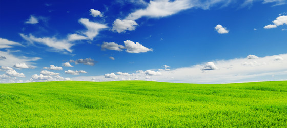 Similar image 1485318