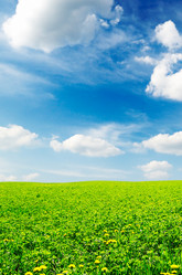 Similar image 1485325