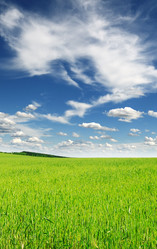 Similar image 1485329