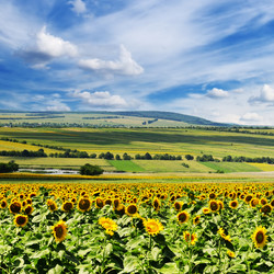 Similar image 1485332