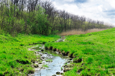 Similar image 1485334