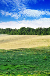 Similar image 1485338