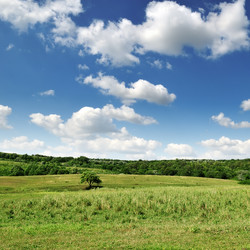 Similar image 1485341