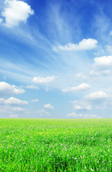 Similar image 1485433