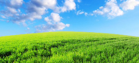 Similar image 1485436