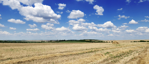 Similar image 1485442