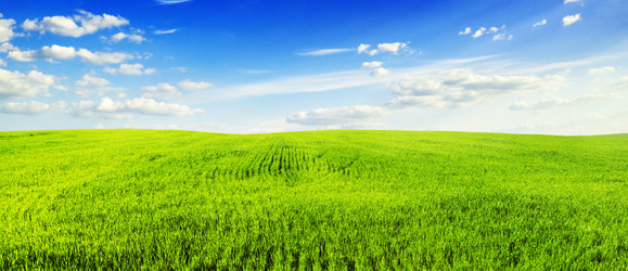 Similar image 1485443