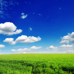 Similar image 1485444