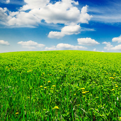 Similar image 1485445