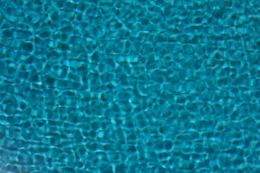 Similar image 1485813