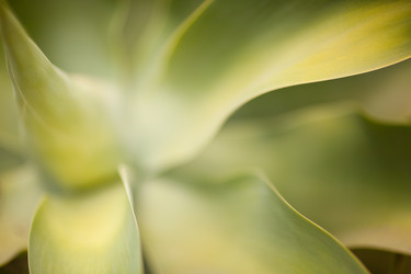 Similar image 1485832