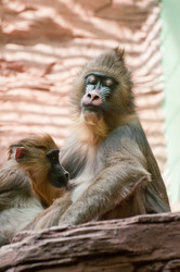 Similar image 1486235