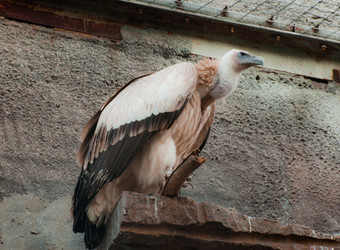 Similar image 1486236