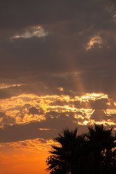 Similar image 1486459