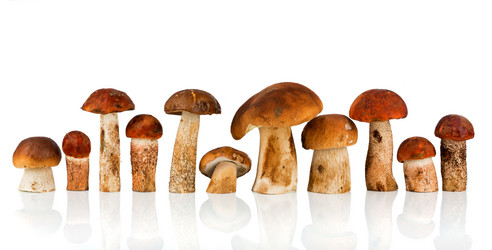 Similar image 1486549