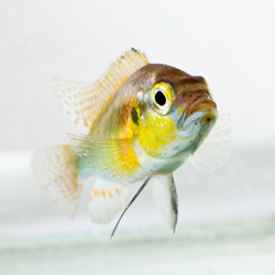 Similar image 1486570