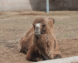 Similar image 1486628