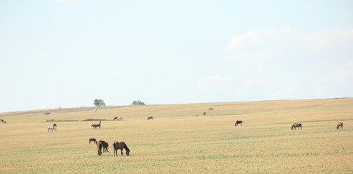 Similar image 1486638