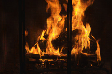 Similar image 1486646