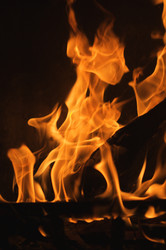 Similar image 1486652