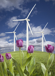 Similar image 1486664