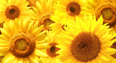 Similar image 1486732