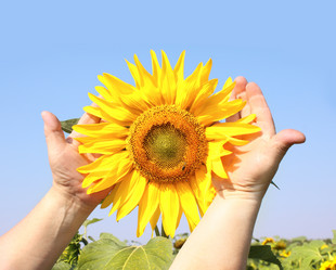 Similar image 1486734