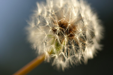 Similar image 1486782