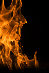 Similar image 1486807