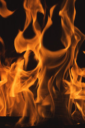 Similar image 1486819