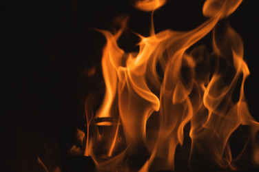 Similar image 1486878