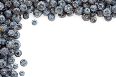 Similar image 1487163