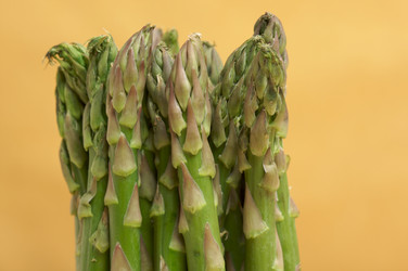 Similar image 1487285