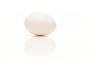 Similar image 1487435