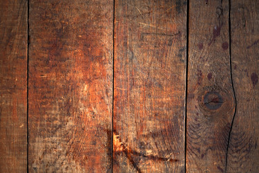 Similar image 1487528