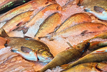 Similar image 1487537