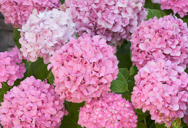 Similar image 1487582