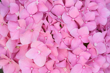 Similar image 1487584