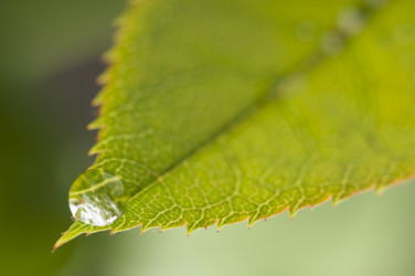 Similar image 1487592