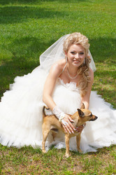 Similar image 1487734