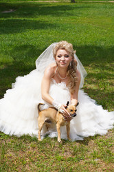 Similar image 1487735