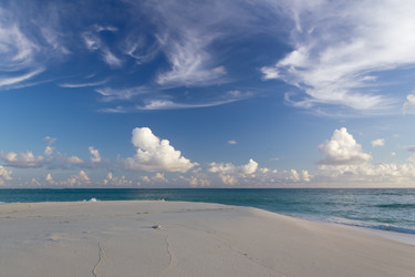 Similar image 1487736